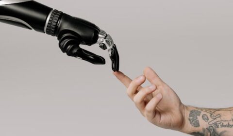 Content related to: What can AI do for my WordPress site today?