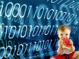 Database applications on the web