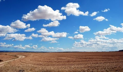 WordPress cloud storage