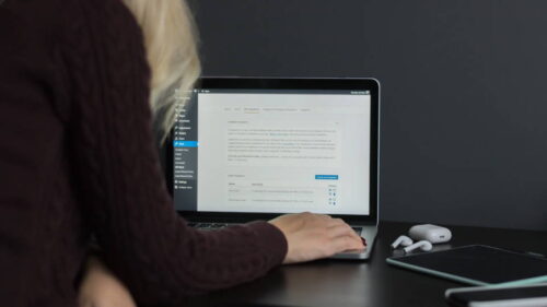 Wordpress Themes vs Plugins: What's the Difference? - WordPress Themes